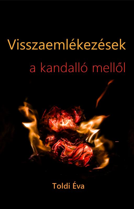 Visszaemlékezés a kandalló mellől